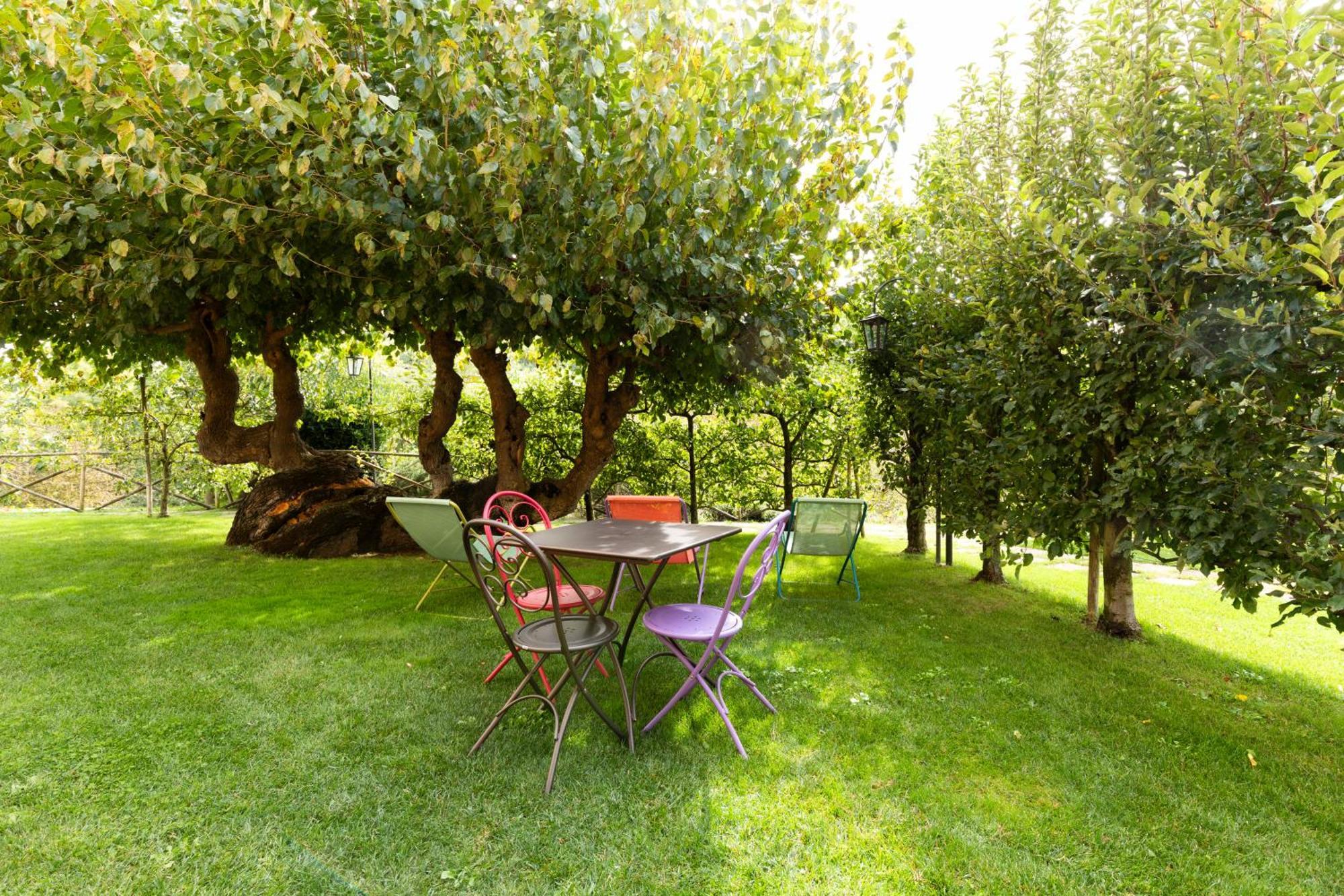 Agriturismo I Gelsi Di Santa Cristina Gubbio Exterior foto